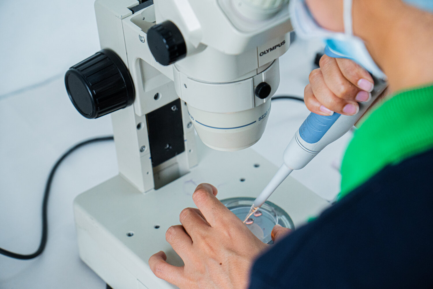 Trabajo especializado en el laboratorio ALEREDI